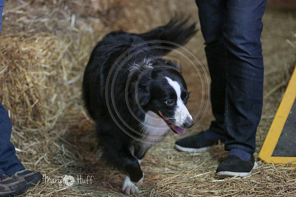 MCH52907