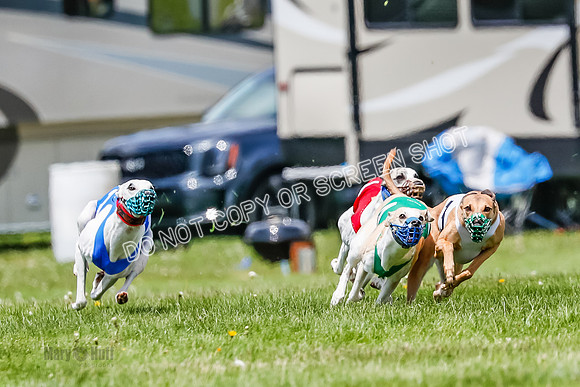 NOTRA Program 3, Race 3, Eddie Elvis Picanha Coyote-2-3