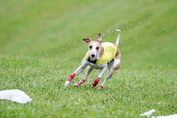 Prelim Open E2, Riddle Finely Scarlet-4901