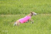 1 Prelims Open 1, LA Twister Greta-8194