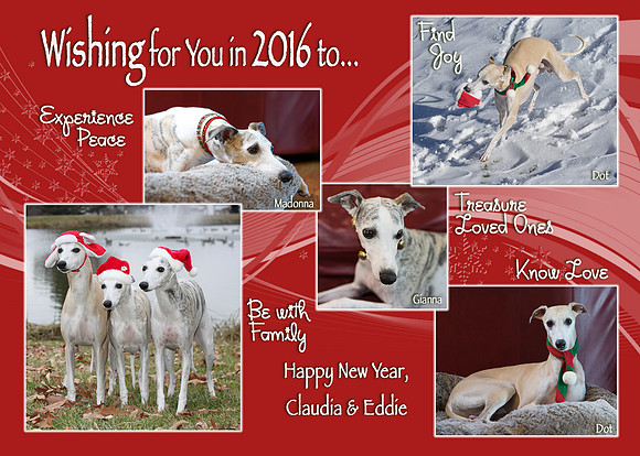 Miller 2015 Christmas Card