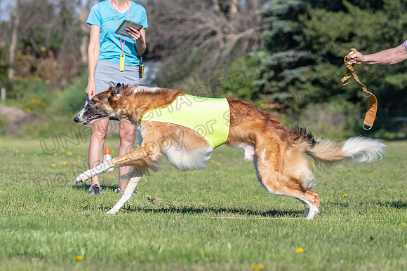 AE4I4035