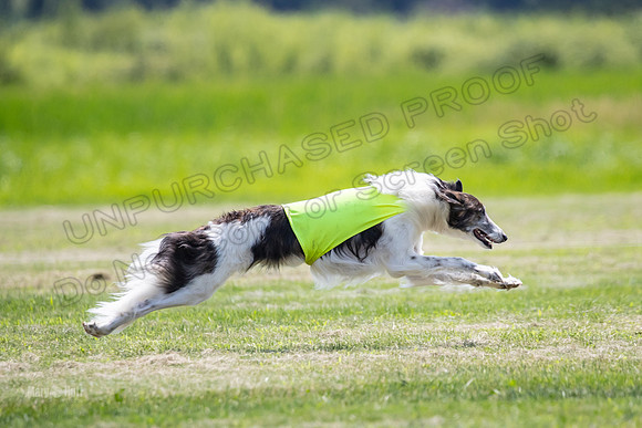 Finals Finnegan-0103
