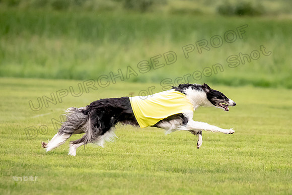 Open Prelim 2, Masquerade Freebie-0529