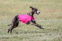 Finals Lena-3719