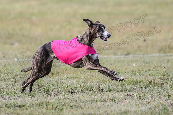 Finals Lena-3719