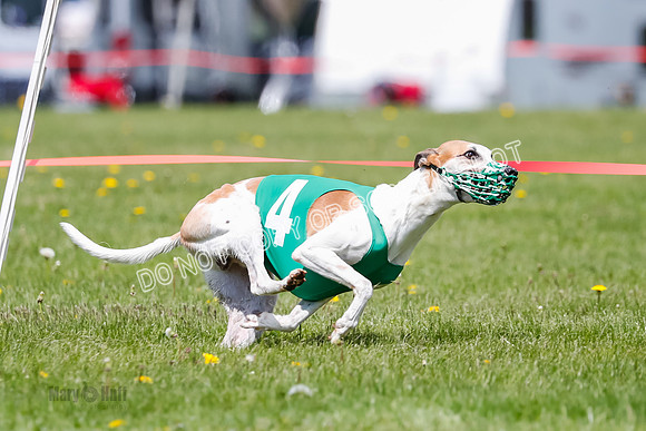 NOTRA Program 2, Race 6, Cinder Stormy Gibbs Shakespeare-2-5
