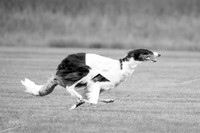 Open Prelim 2, Masquerade Freebie-0527-2