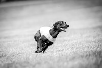 Prelims Willow-1098-2