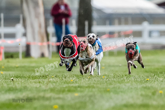 WRA, Prg 1, Race 5, Henry Eddie Deal Moki Feather Hit-8314