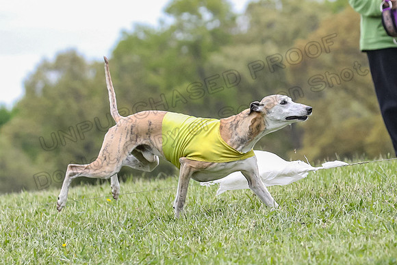 Finals Vets 5, RickyBobby Blue Jewel-2458