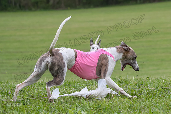 Finals Open A2, Lydia Audrey Misty-6709
