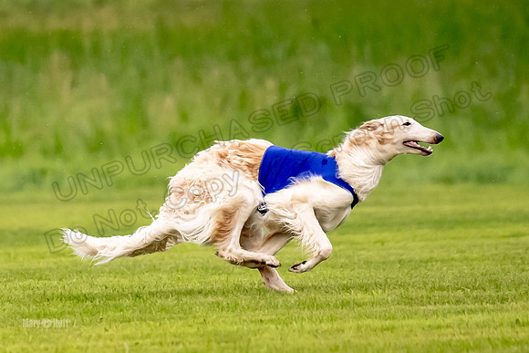 Open Prelim Bluegene Rhett Zen-0490