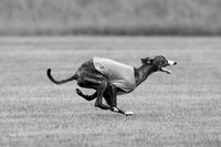 Prelims Lena-0761-2