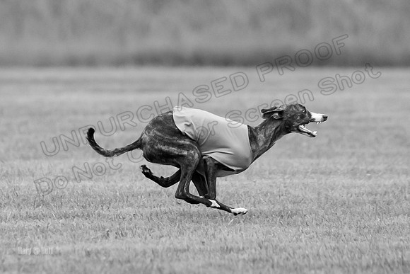 Prelims Lena-0761-2