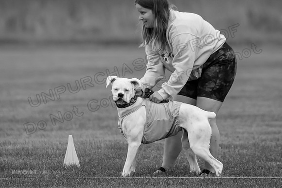 Prelims Nilla-0883-2