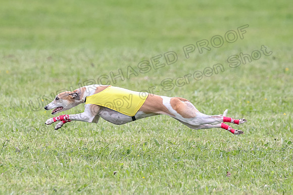 Prelim Veterans 2, Brag Nellie Herk-0106