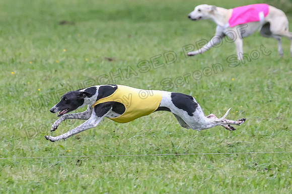 Prelim Open B3, Tusi Dany Tails-8442