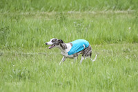 AE4I8744