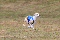 1 Prelims Open 1 AnnieOakley Fennec Zero-1237
