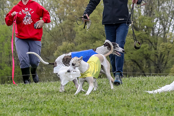 Finals Open D4, Roo Shroom Torque-0938