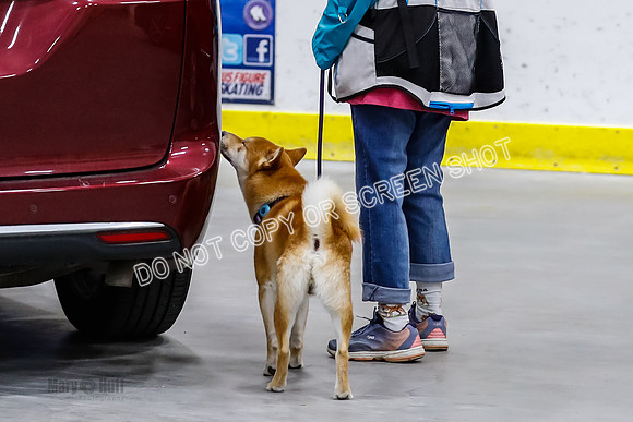 L1 Vehicle-6486