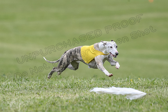 Finals Open C4, Ripley Prim Synner-0757