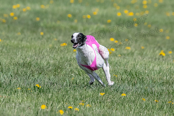1Prelims Specials B6 Mantle PeteySue Echo-1576