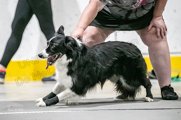 AE4I2219