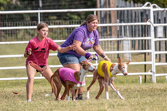 Finals Veteran Izzy Dawn-4245