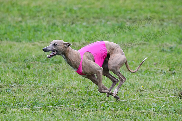 Prelim Open E2, Riddle Finely Scarlet-4888