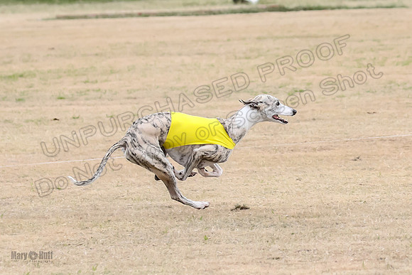 1Prelim Open 3 Eggsy Trixie Treble-3039