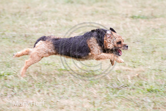 IMG_0760