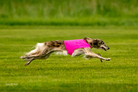 Prelim Open Silken-0395