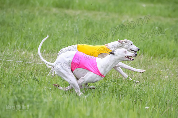 Finals Fch Flare Huxley Buttercup-8883