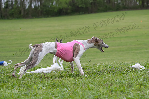 Finals Open A2, Lydia Audrey Misty-6707