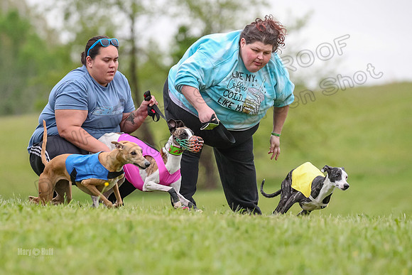 Prelim Open E3, Panda Kracken Indy-4935