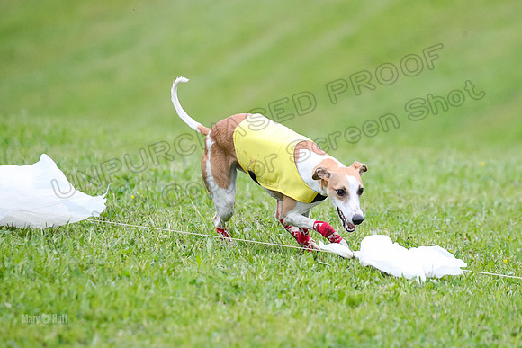 Prelim Open E2, Riddle Finely Scarlet-4922