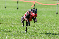 MCH72046 Riot, Filly-L, Gracy, Zero