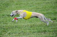 Prelim Veteran 1, Akela Ricky Bobby Blue-6307