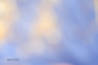 _F4I8441
