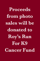 Roy's Run