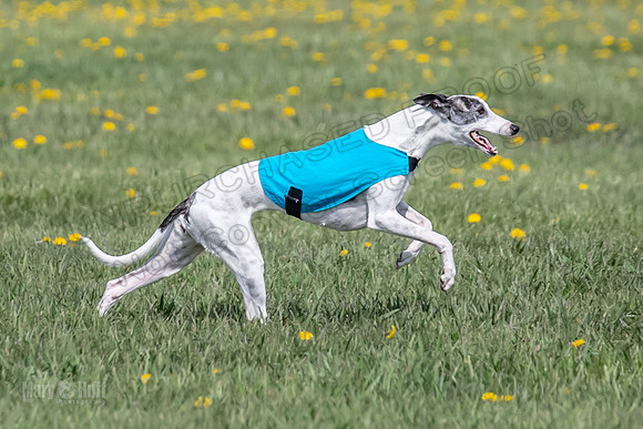 1Prelims Specials B6 Mantle PeteySue Echo-1591