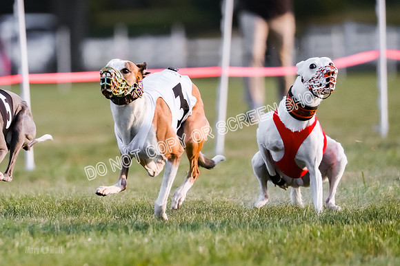 Prg 1, Race 9, Barley Press Sansa Carney Elia Clyps-9120