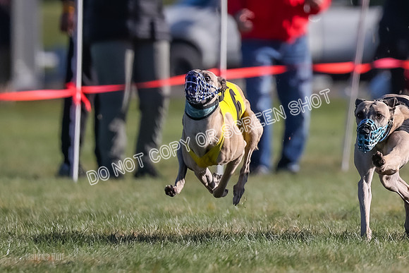 Prg 1, Race 18, Hillary Axl Chase Joplin Rum-9271