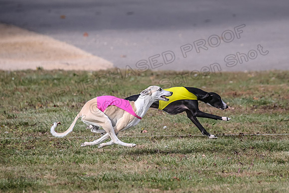 1 prelims 1 Open 2 Drift Zero-6464
