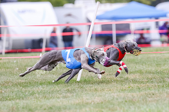 Prg 1, race 12, Gibbs Java Watson Tsunami-0853