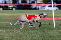 Prg 1, race 1, Arrow Blitz Rosie Floyd-0575
