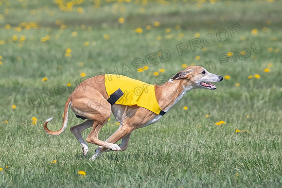 1Prelims Specials B6 Mantle PeteySue Echo-1598