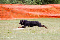 IMG_8836